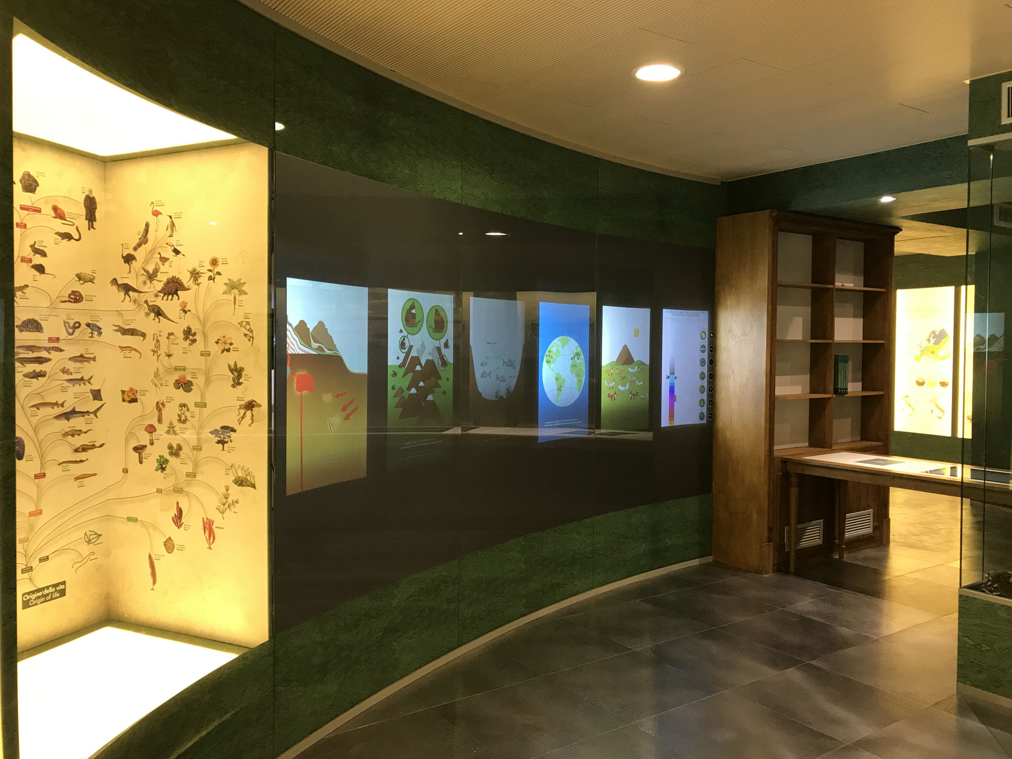 Museo della Biodiversità di Monticiano ©WWF Italia