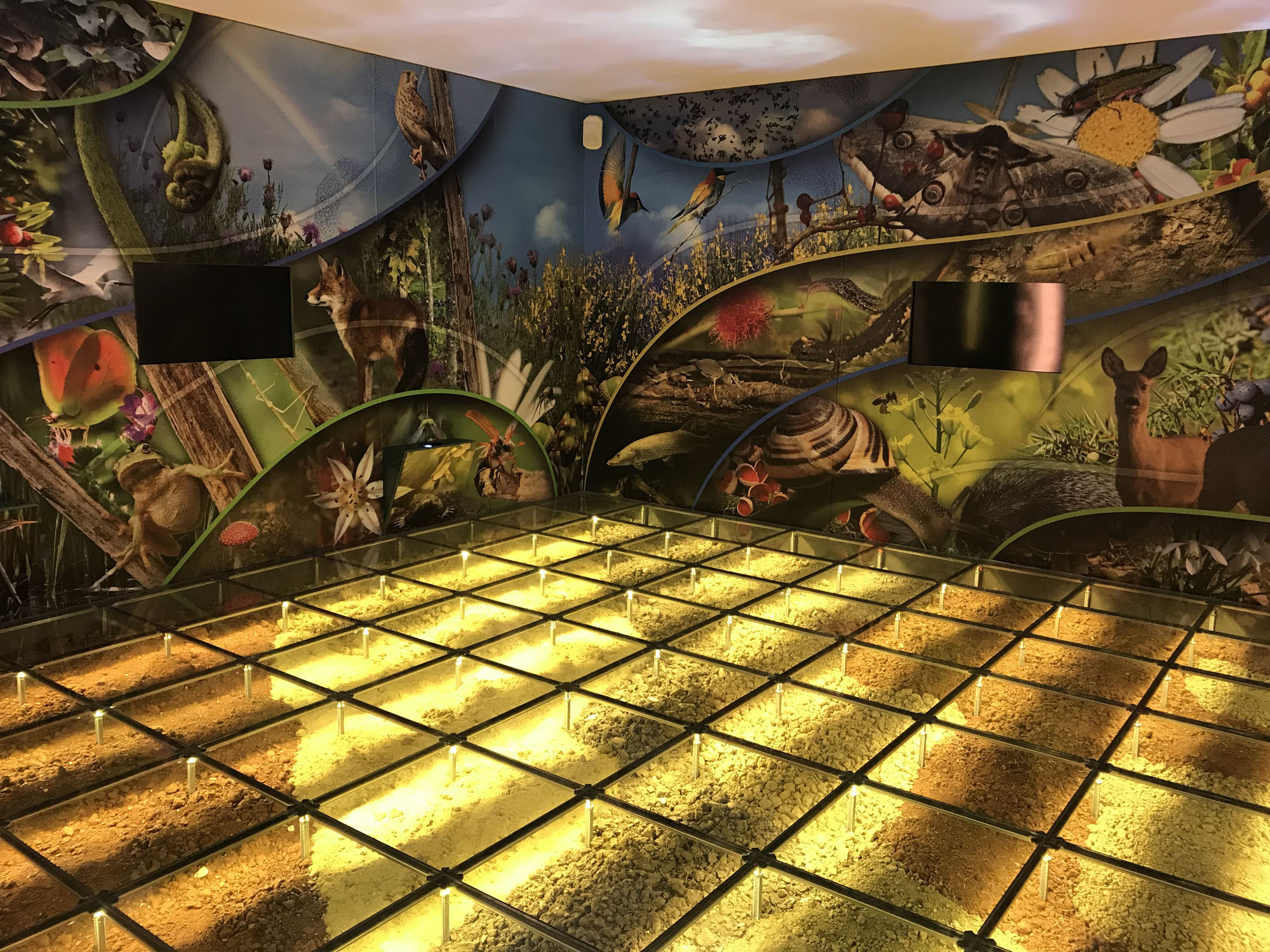 Museo della Biodiversità di Monticiano ©WWF Italia