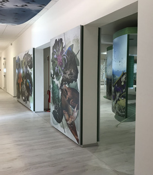 Museo della Biodiversità di Monticiano ©WWF Italia