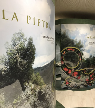 Museo della Biodiversità di Monticiano ©WWF Italia