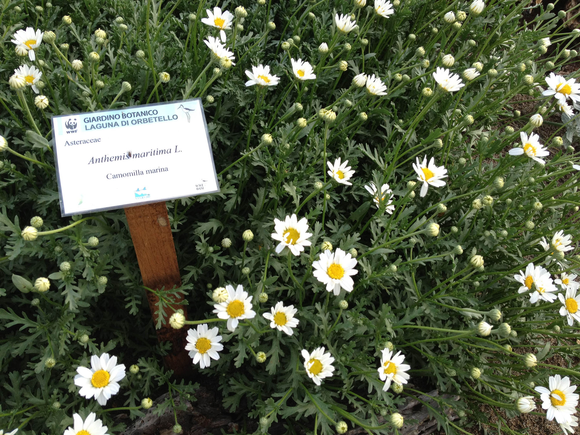 Giardino botanico di Orbetello © F. Cianchi