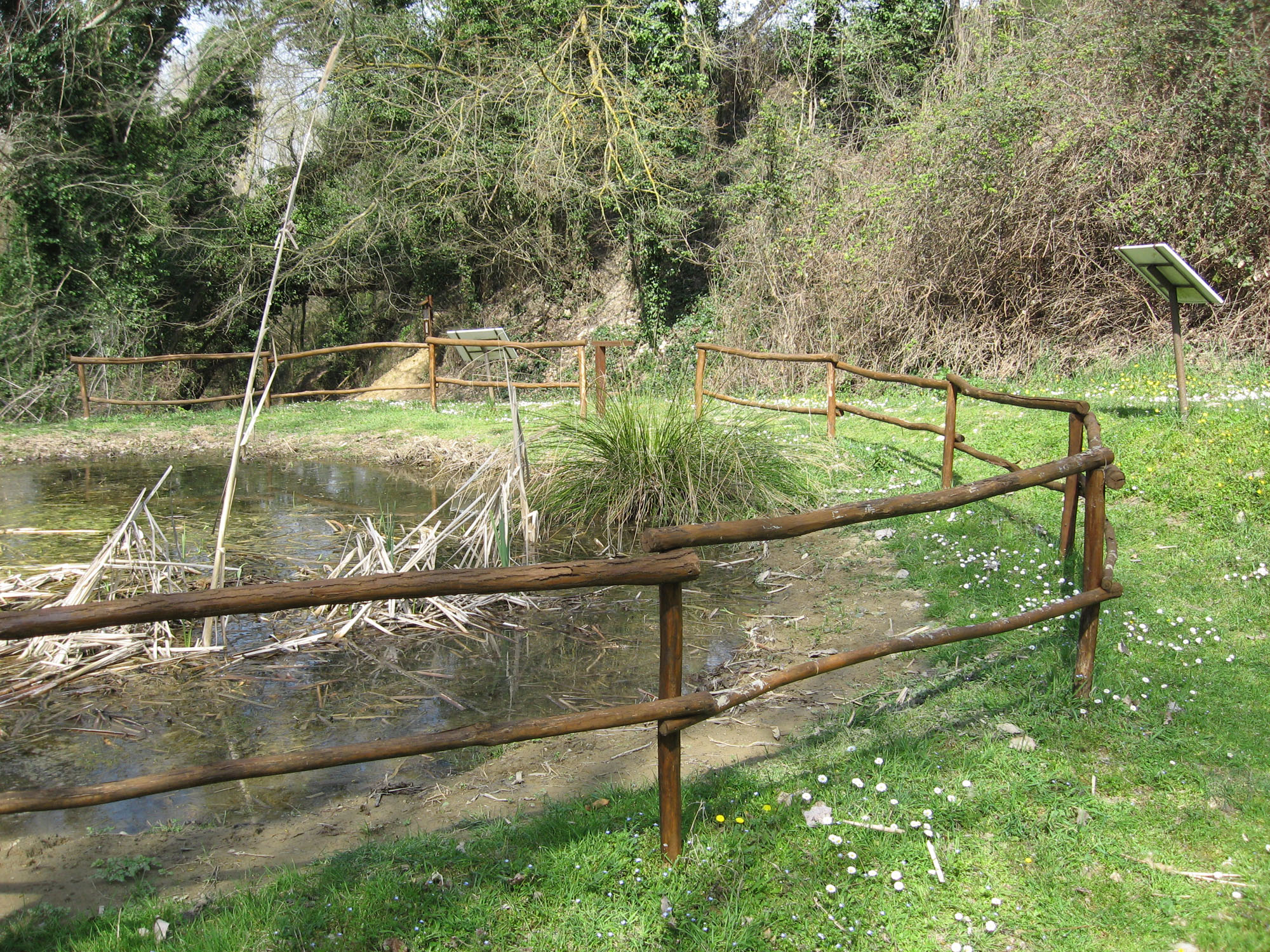 Stagno didattico © A. Capoccia