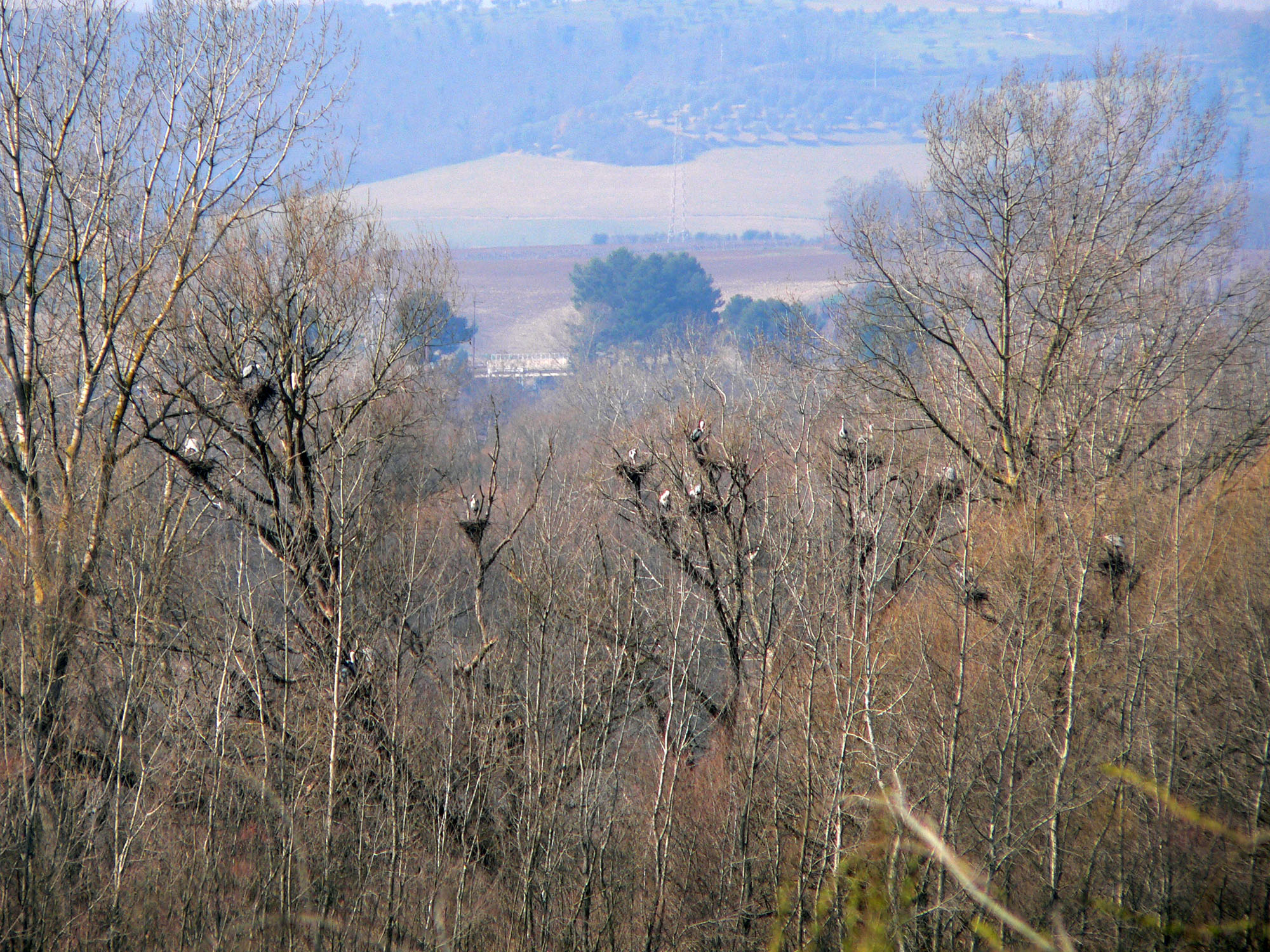 Garzaia © A. Capoccia
