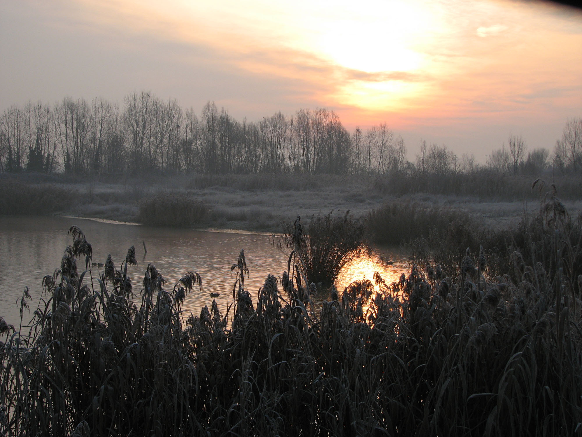 Panoramica oasi di Stagni di Casale © T. Menegozzo