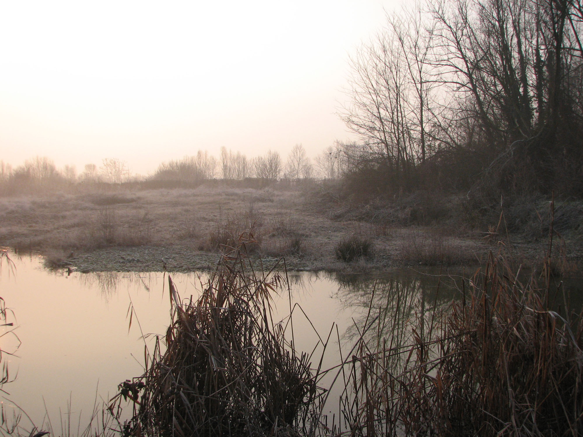 Panoramica oasi di Stagni di Casale © T. Menegozzo