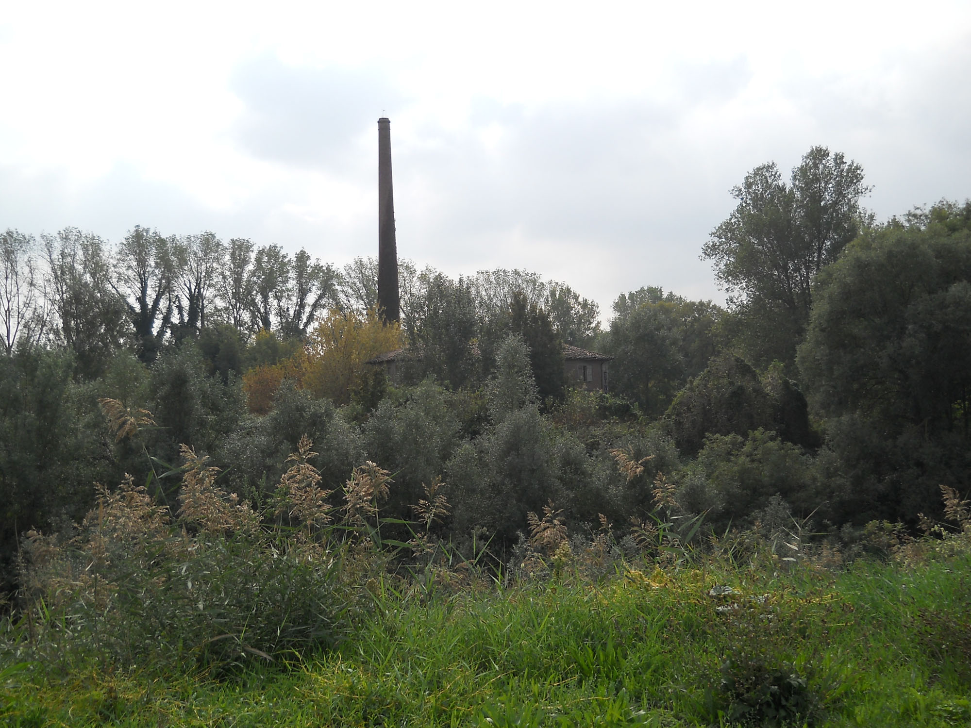 Ex fornace di Villanova Marchesana. Esempio di archeologia ©WWF Italia