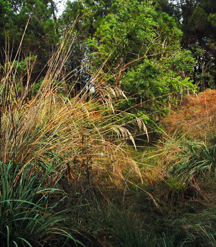Fotogallery 9
