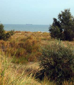 Fotogallery 11