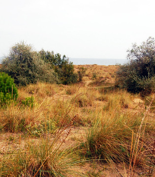 Fotogallery 12