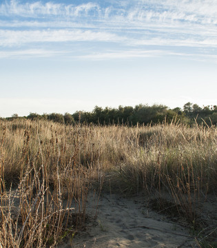 Fotogallery 10