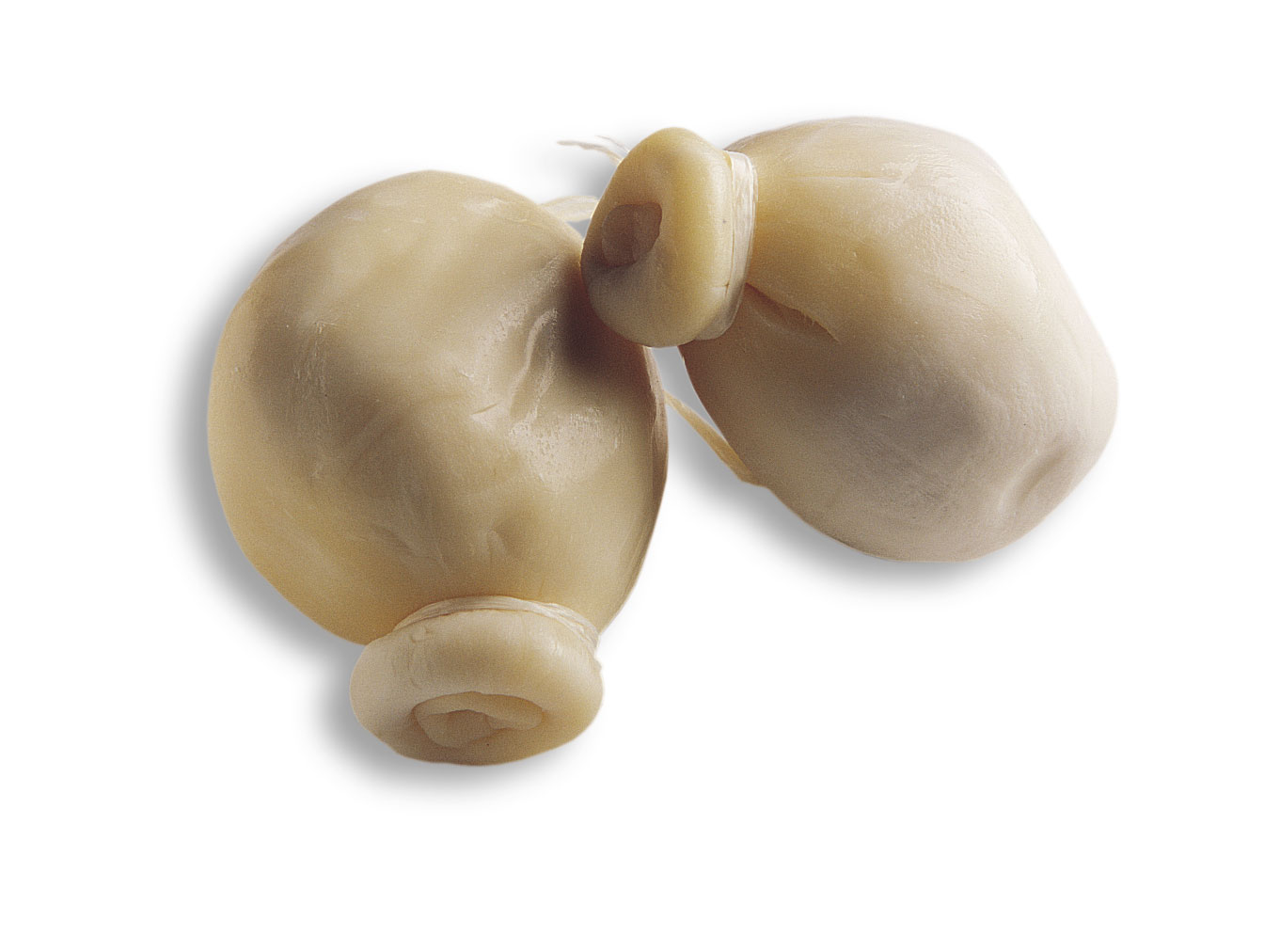 Burrino @ Archivio Slow Food