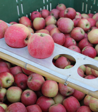 Agricoltura sostenibile @ Galassa
