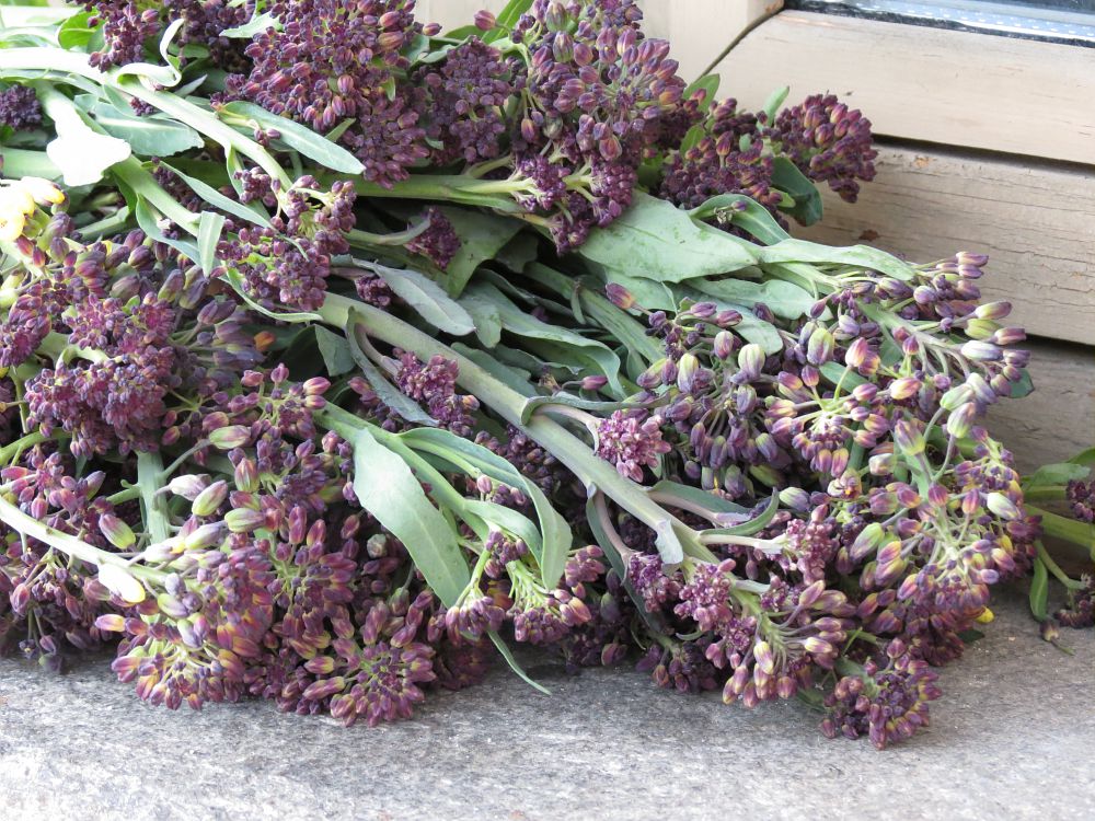 Chiacchietelli @Archivio slow food