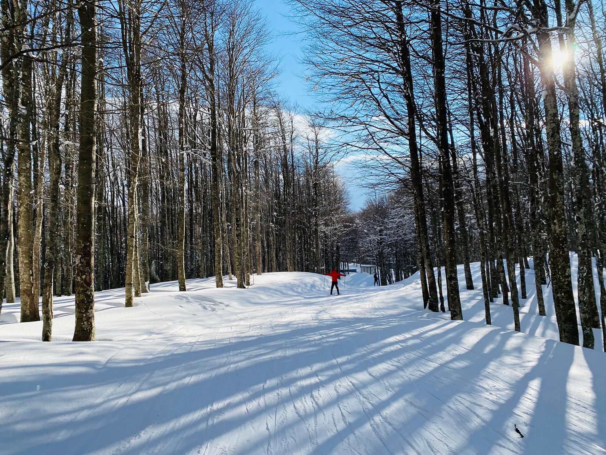La Sellata Piste da sci alla Sellata © Gaetano Mancino