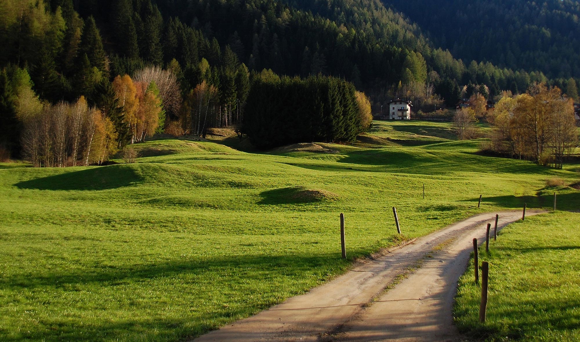 Val di Sole Un paesaggio della luminosa val di Sole © Adobe Stock/Luca Bellincioni – ID 42564768