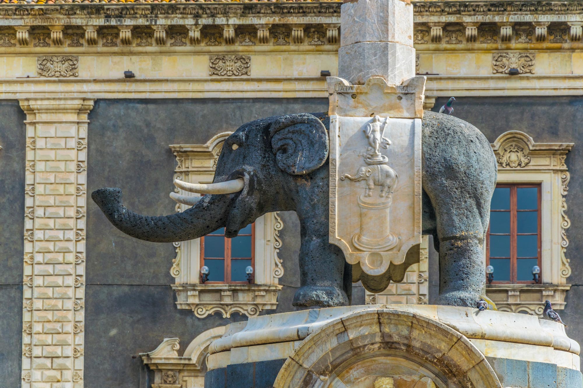 Catania Particolare della fontana dell’Elefante in piazza Duomo © Shutterstock/trabantos