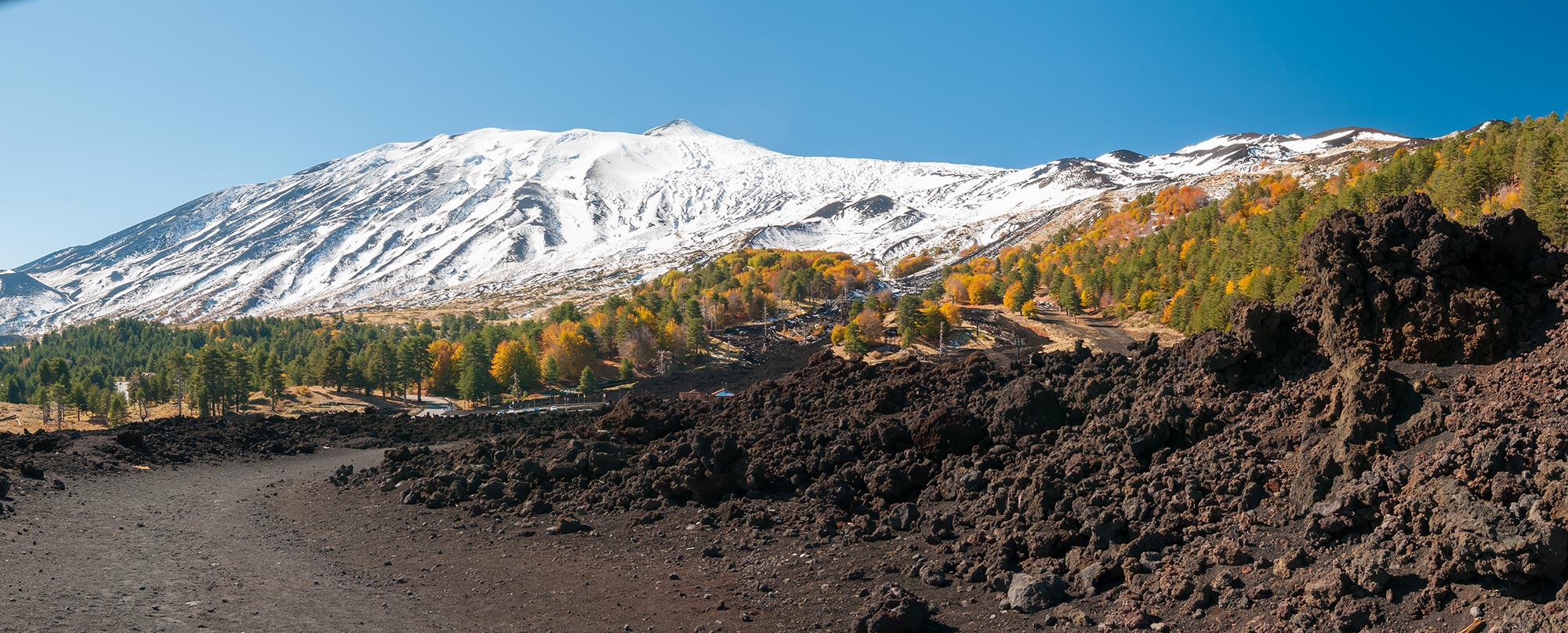 Mareneve Pini e faggi caratterizzano il variegato paesaggio etneo © Shutterstock/Marco Ossino