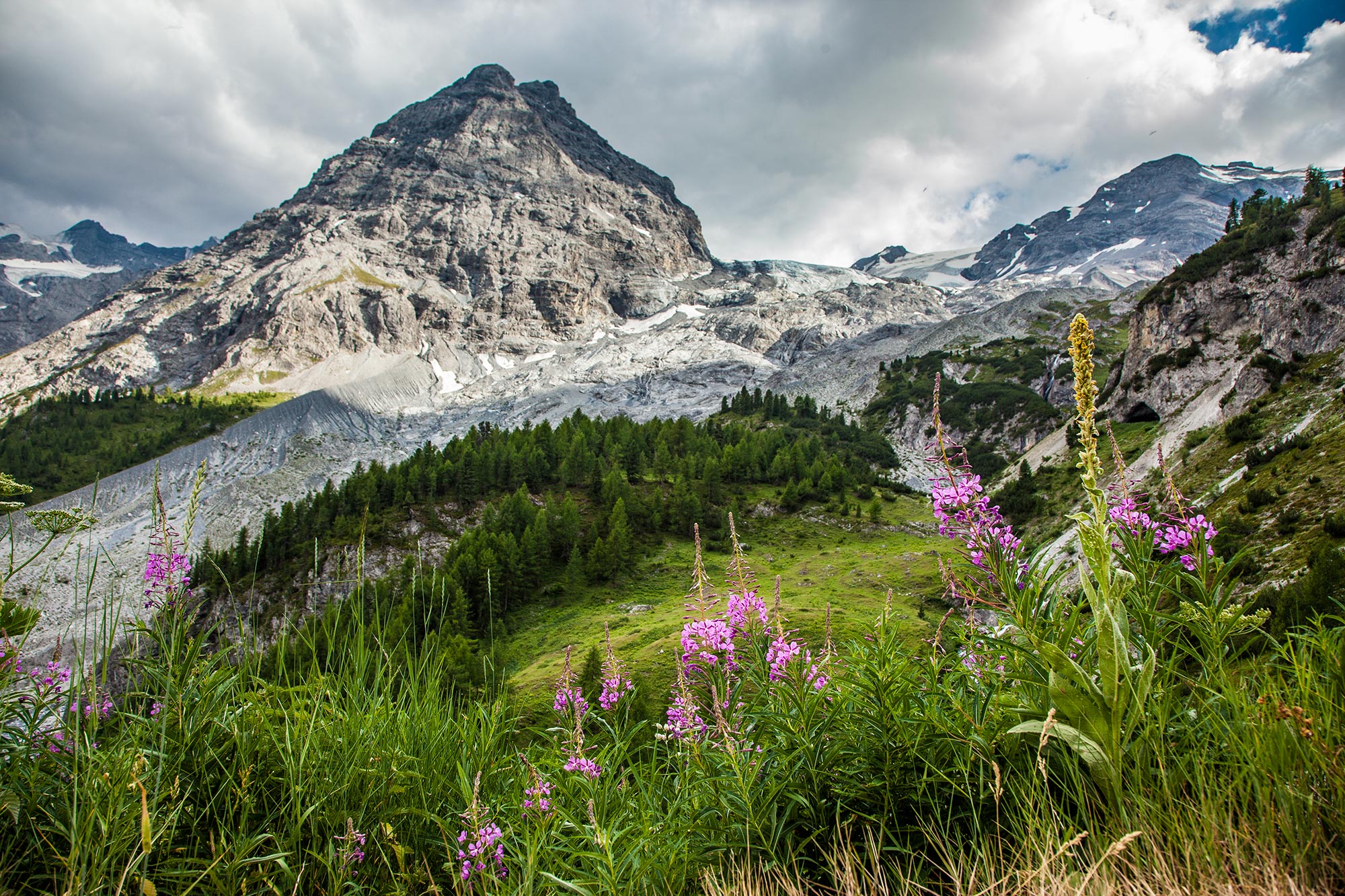 Stelvio Parco Nazionale delle Stelvio © A. Cambone, R. Isotti - Homo ambiens
