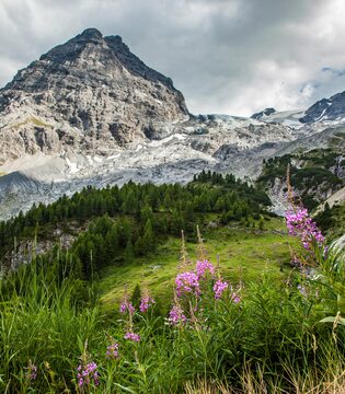 Stelvio Parco Nazionale delle Stelvio © A. Cambone, R. Isotti - Homo ambiens