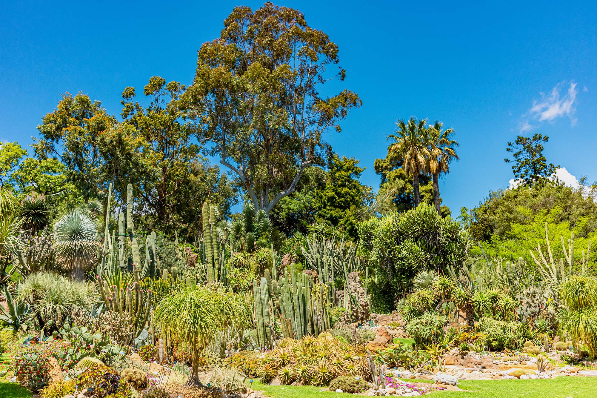 Orto Botanico L'Orto Botanico di Napoli © Forben/Shutterstock.com