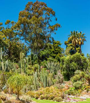 Orto Botanico L'Orto Botanico di Napoli © Forben/Shutterstock.com