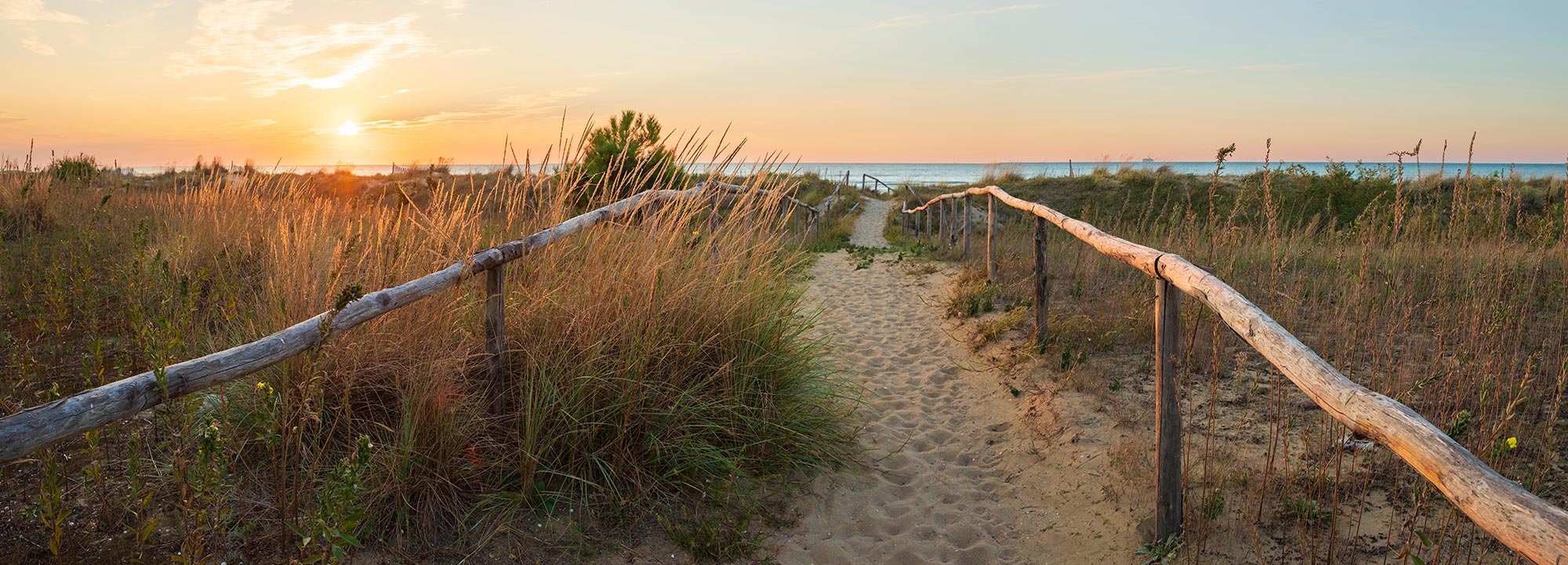 Cavallino-Treporti Le lunghe spiagge dorate e le dune di Cavallino © Franco Cogoli/ Parco Turistico Cavallino Treporti