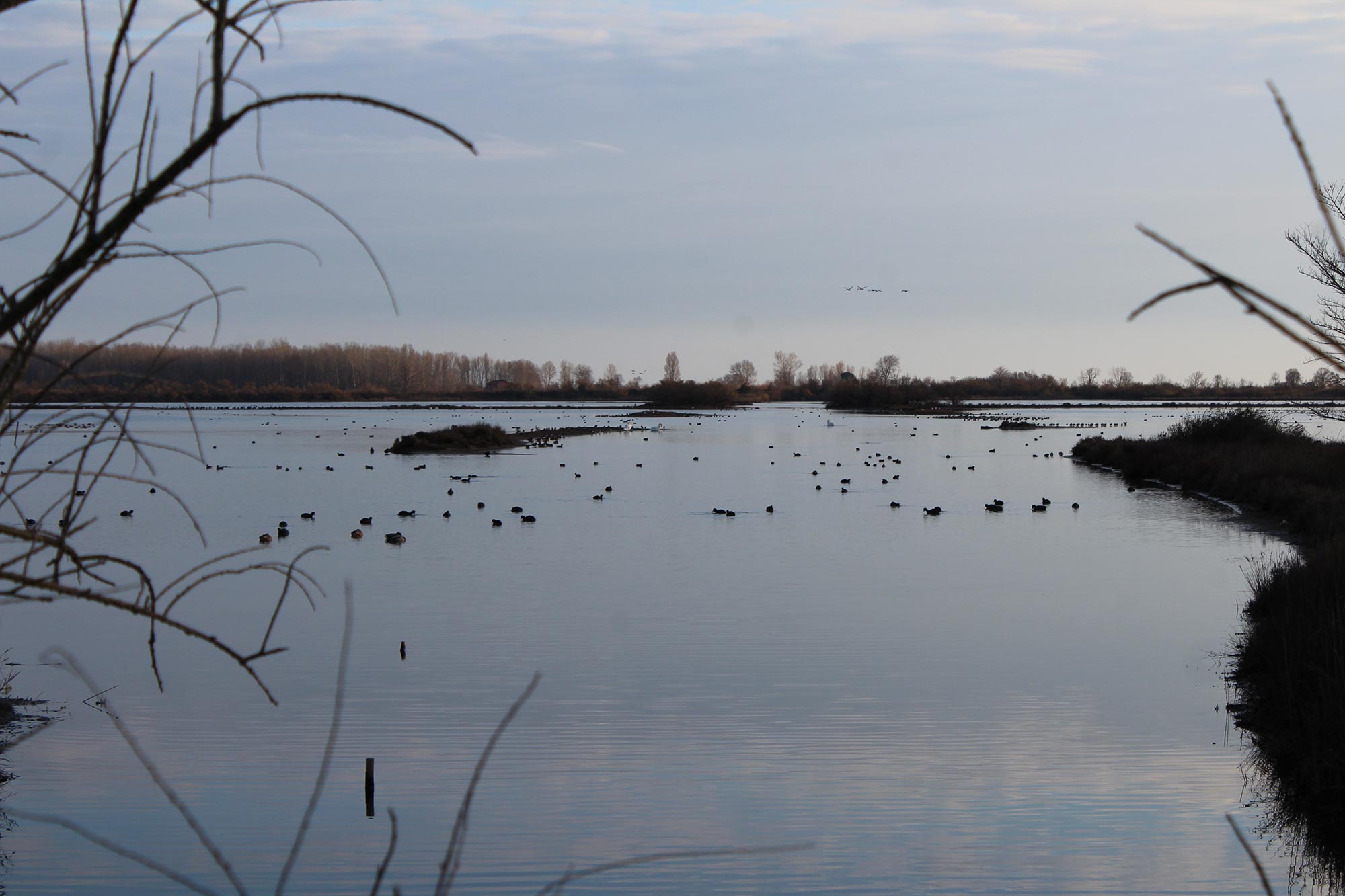 Centro visite della Riserva naturale Valle Cavanata (Grado) Veduta della Riserva naturale della Valle Cavanata © Riserva naturale della Valle Cavanata/Tina Klanjšček