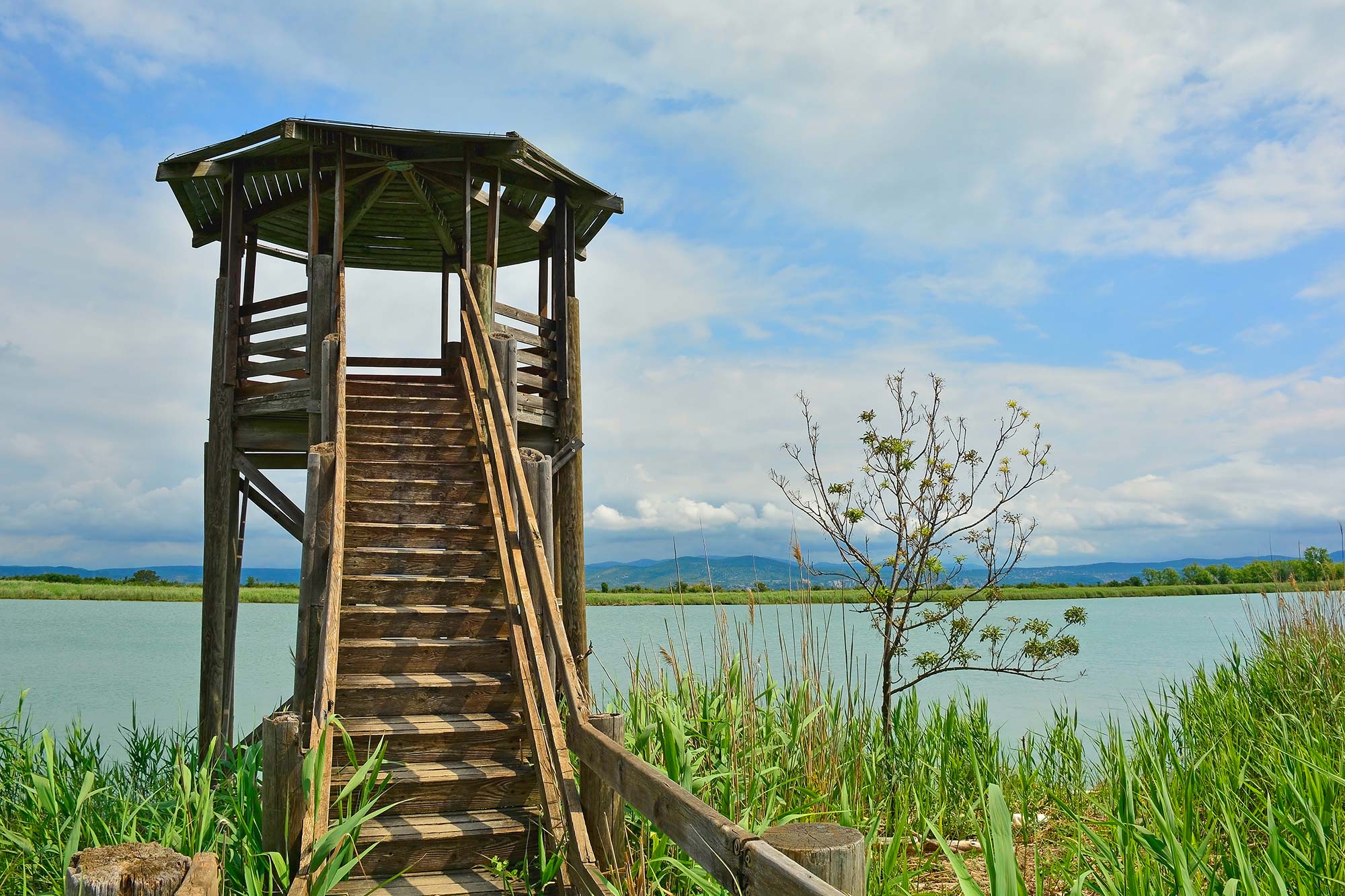 Isola della Cona Torre di avvistamento sull'Isola della Cona © Dragoncello/Shutterstock.com