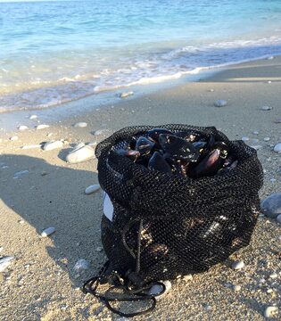Il Parco Regionale Naturale del Conero Le cozze del Conero, i mitili autoctoni chiamati