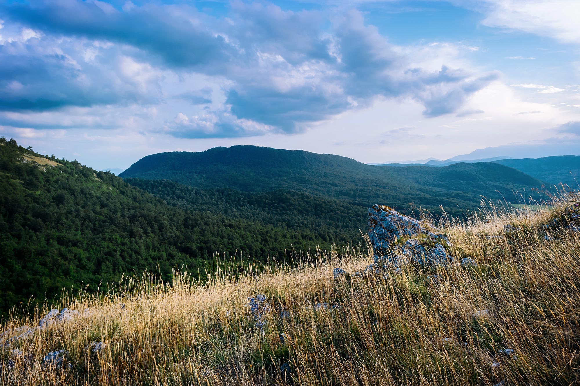 Riserva MAB Collemeluccio – Montedimezzo Alto Molise Vista sui boschi della Riserva MAB Collemeluccio – Montedimezzo Alto Molise da Vastogirardi © znatalias/ Shutterstock.com