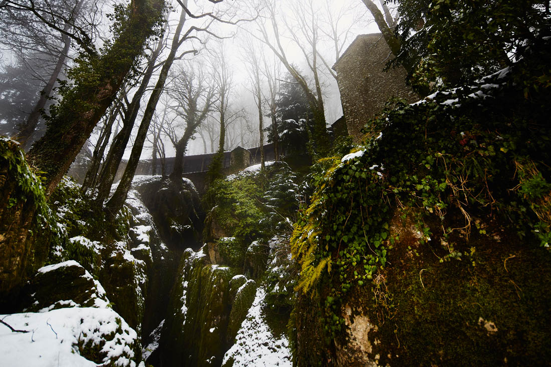 La Verna Santuario della Verna, il Sasso Spicco nel bosco © Fiorenza Cicogna
