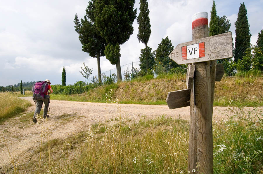 San Miniato Tracciato della Francigena a sud di San Miniato © Fabrizio Ardito