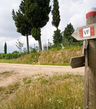 San Miniato Tracciato della Francigena a sud di San Miniato © Fabrizio Ardito