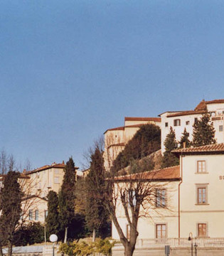 Fucecchio Veduta di Fucecchio © sa by Lucarelli