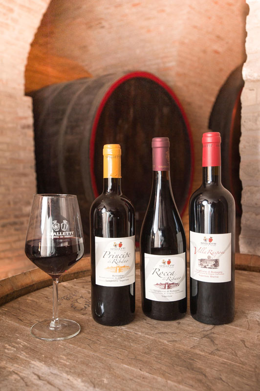 Sangiovese Cantina Spalletti © Fabrizio Ardito