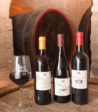 Sangiovese Cantina Spalletti © Fabrizio Ardito