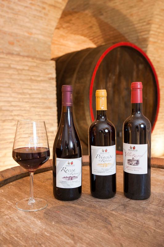 Sangiovese Cantina Spalletti © Fabrizio Ardito