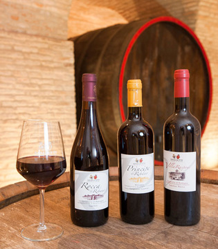 Sangiovese Cantina Spalletti © Fabrizio Ardito