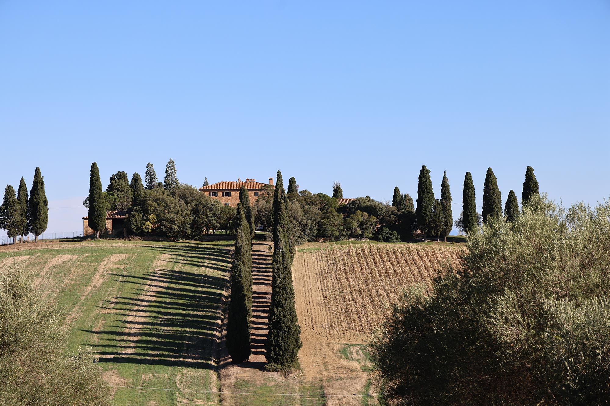 Podere Belvedere © A. Rossi, Camaleo S.r.l (Roma)