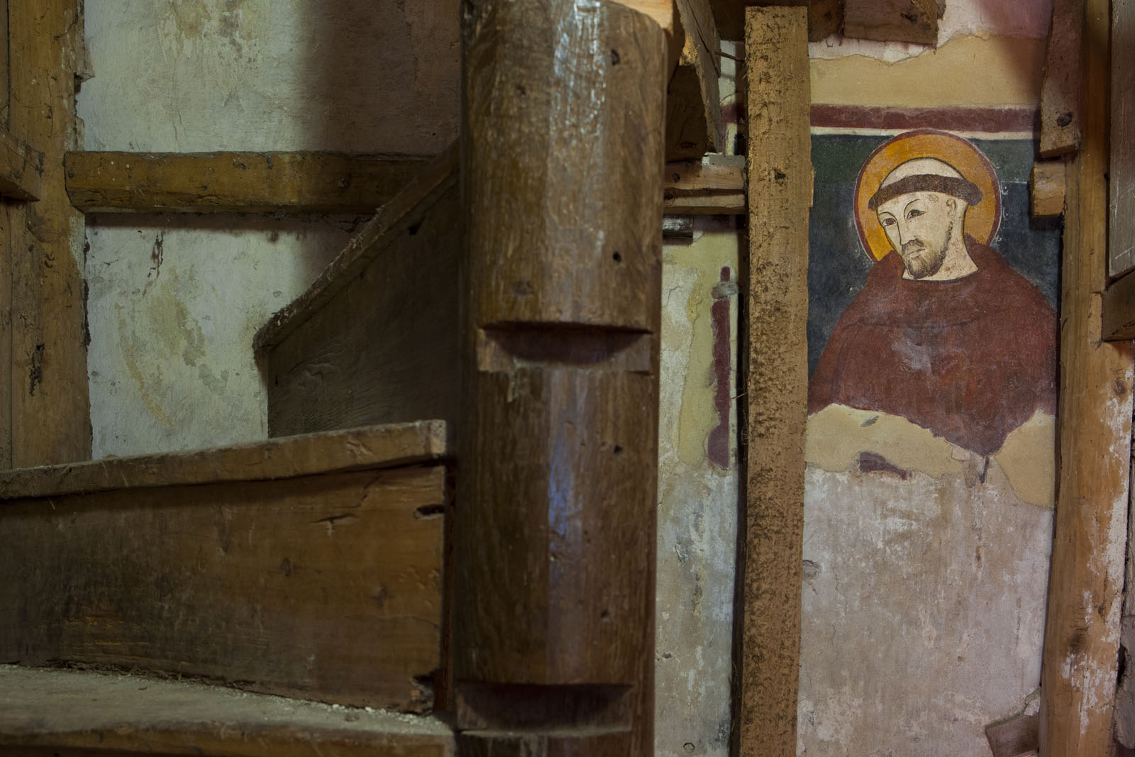 Cassine Chiesa di S. Francesco, Ritratto di San Francesco © F. Cicogna
