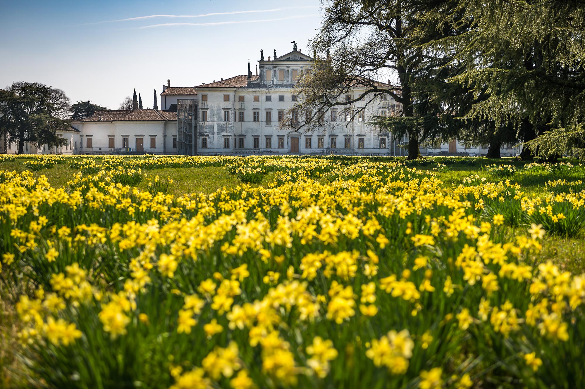 Parco Rota San Vito al Tagliamento. Palazzo Altan-Rota, attuale sede del Municipio. Il palazzo è il risultato dell'aggregazione di diverse entità edilizie edificate e sviluppatesi in un periodo compreso tra il XIV e il XIX secolo. A nord del complesso monumentale si estende, per una superficie di 5800 mq, un parco a libera invenzione e di ispirazione tardoromantica. © Claudio Mansutti