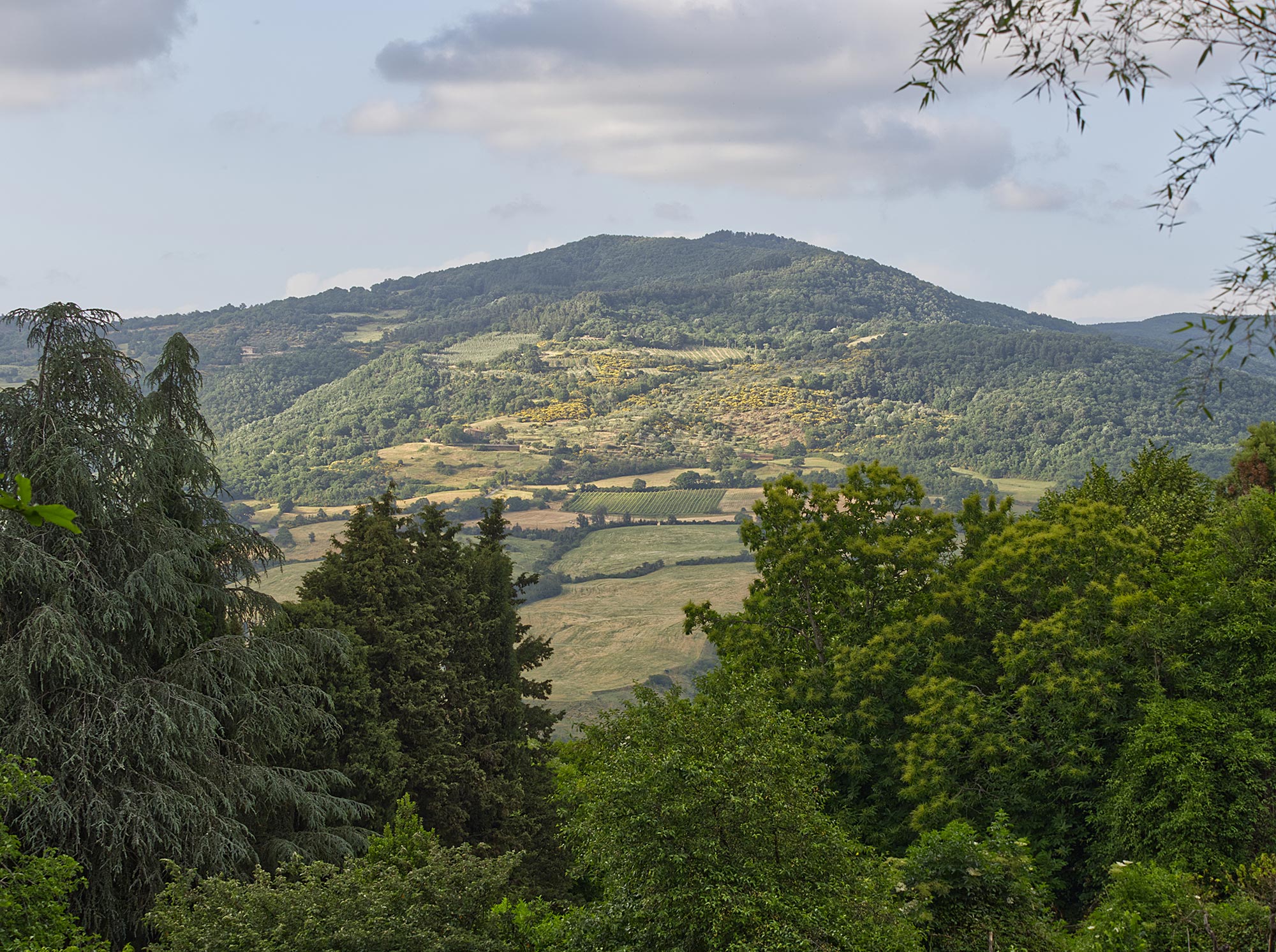 Riserva di Monte Rufeno, panorama © Cesare Goretti concesse dal comune di Acquaìpendente