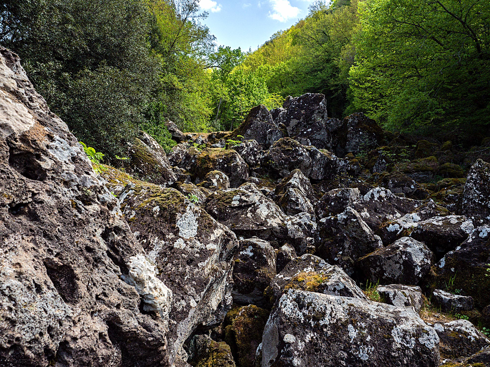 Bosco del Sasseto © Cesare Goretti concesse dal Comune di Acquapendente