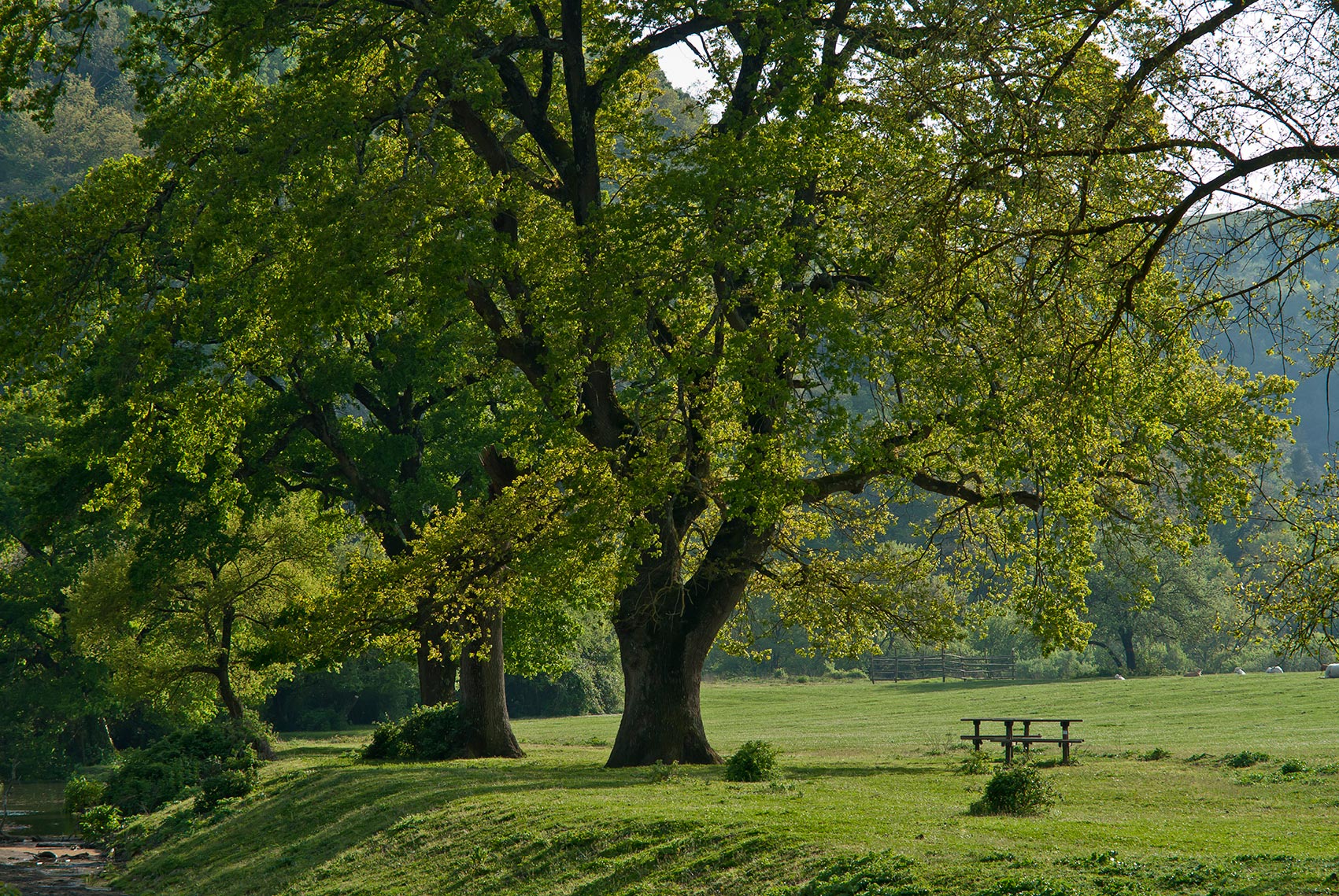 Lungo il Cremera nella Valle del Sorbo © Alfonso Mongiu - Museo dell'Agro Veientano (Comune di Formello)