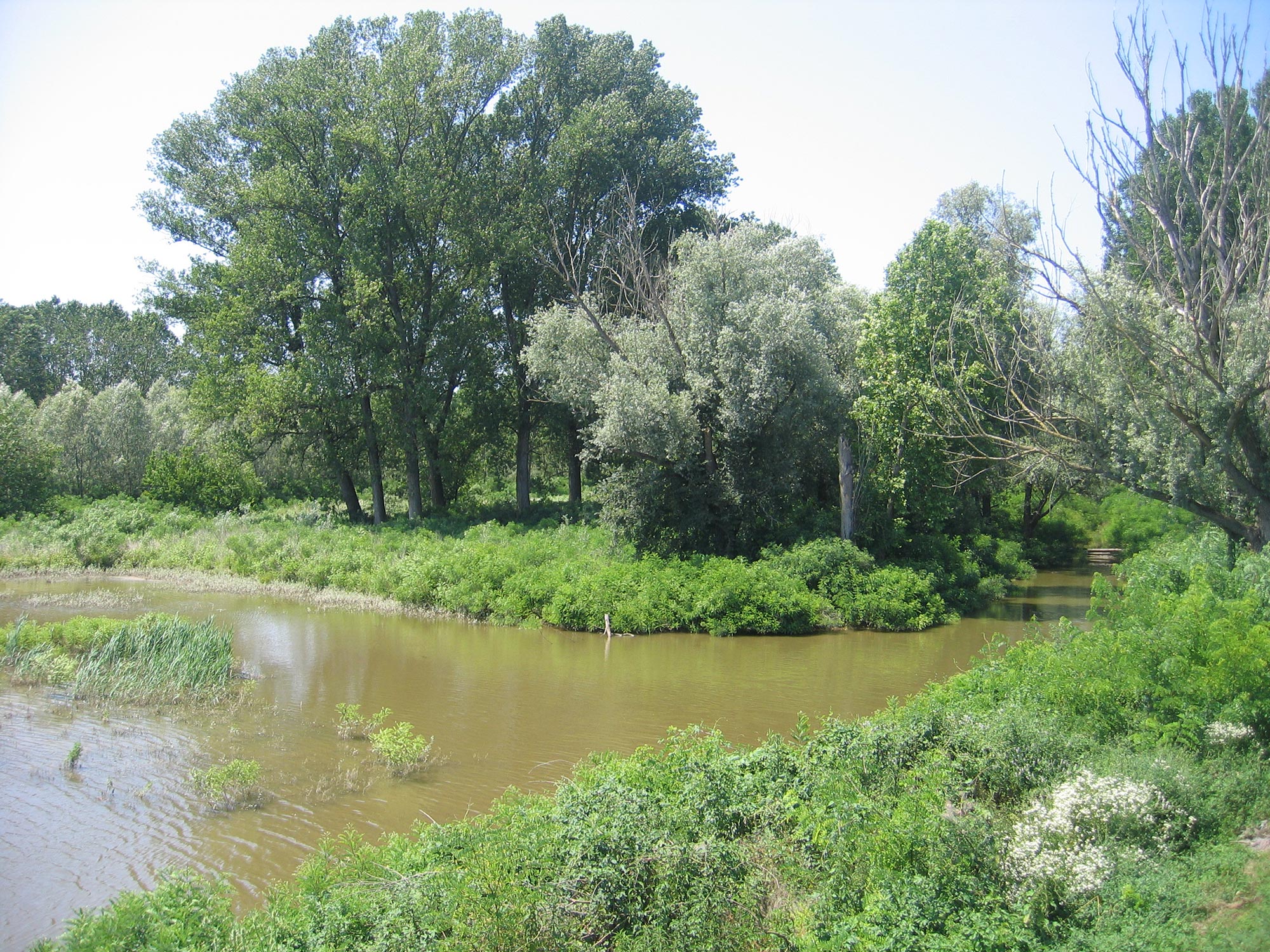 Parco Oglio Sud Panorama © Lella Rossetti - Archivio fotografico Parco Oglio Sud