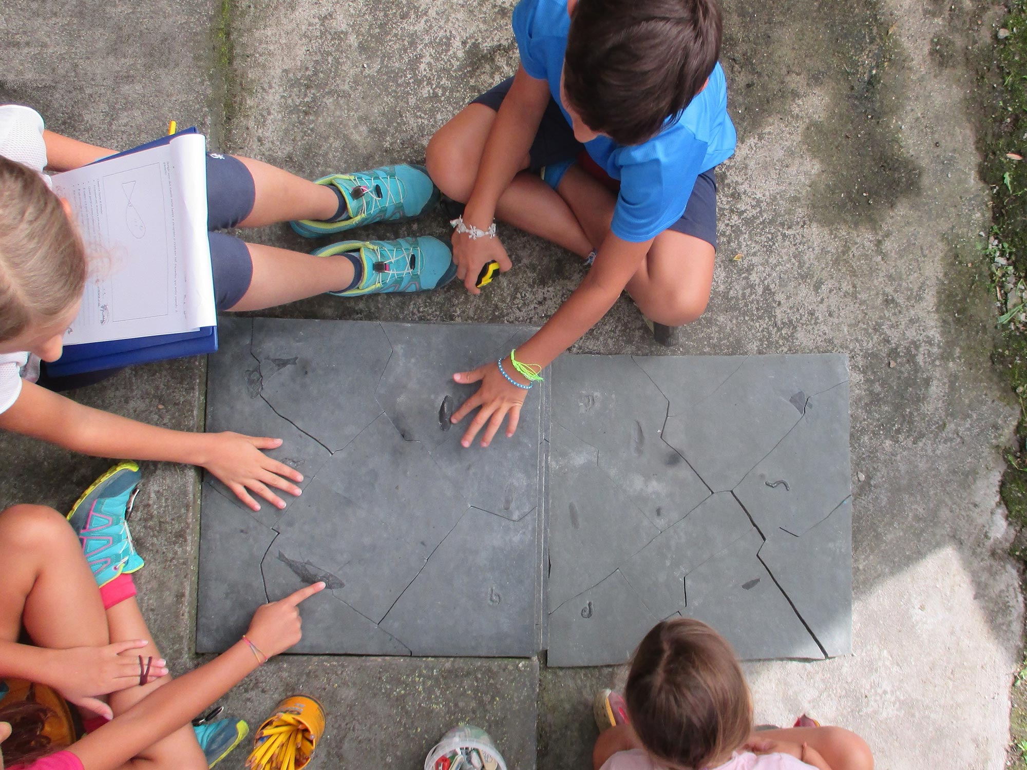 Parco Paleontologico di Cene: attività didattiche © Parco Paleontologico