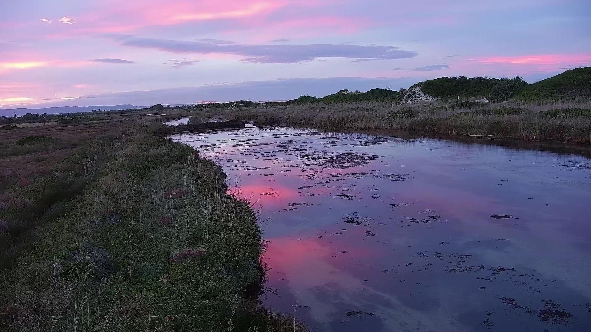 Panorama Parco delle Dune costiere © Archivio fotografico Parco delle Dune costiere