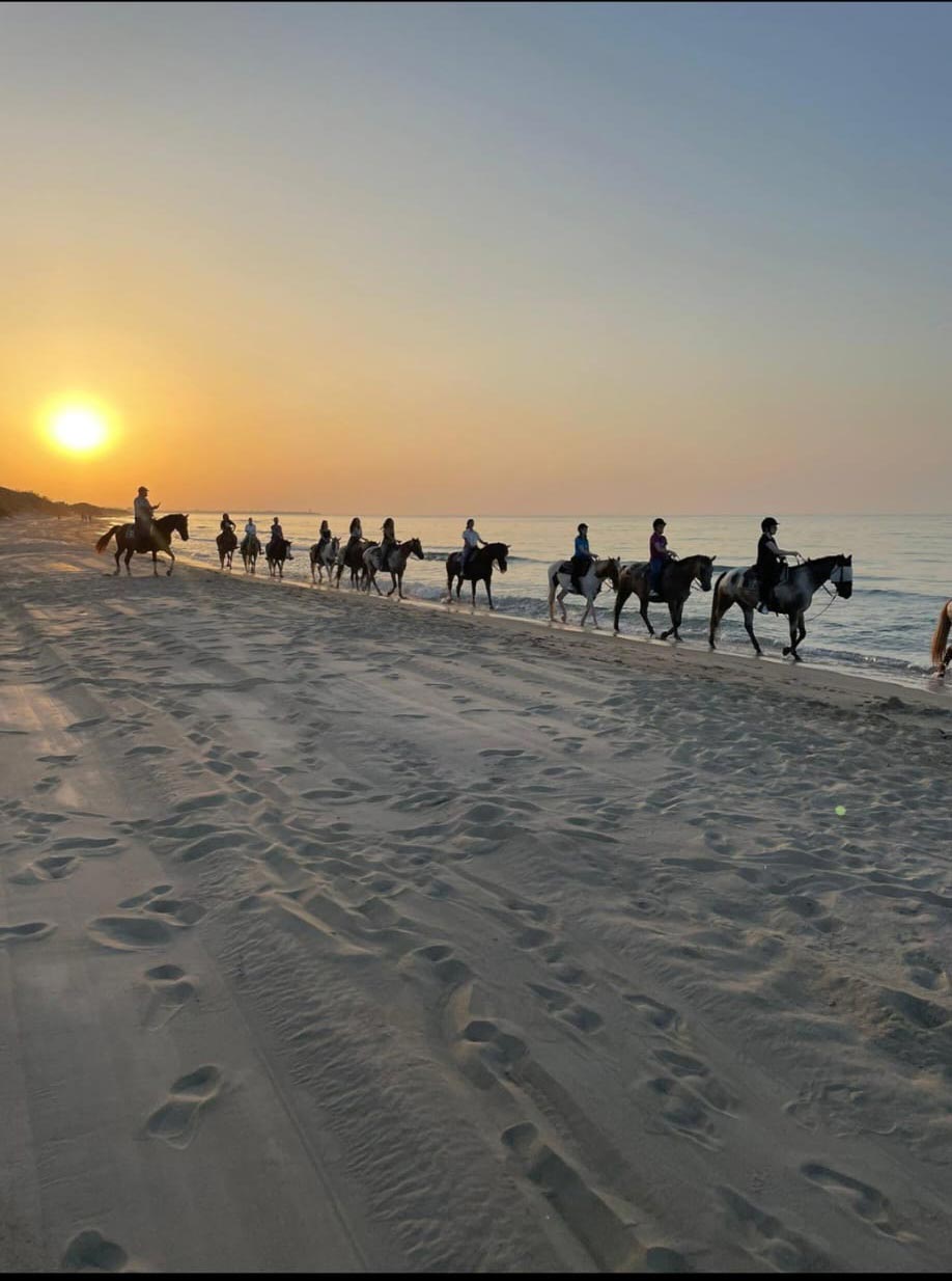 Passeggiata a cavallo sulla spiaggia delle Dune costiere al tramonto © Archivio fotografico Parco delle Dune costiere
