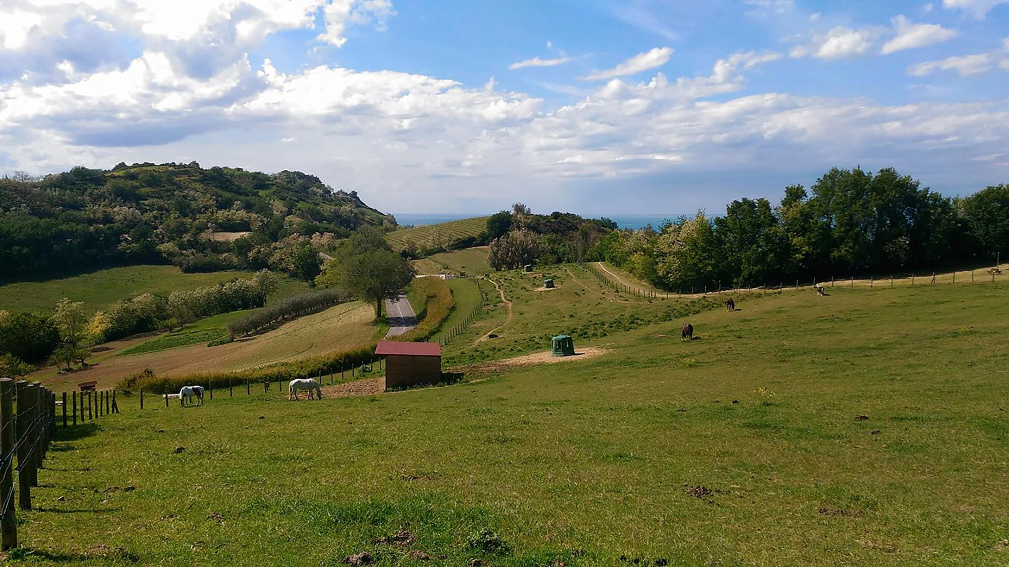Monte Brisighella © Parco San Bartolo