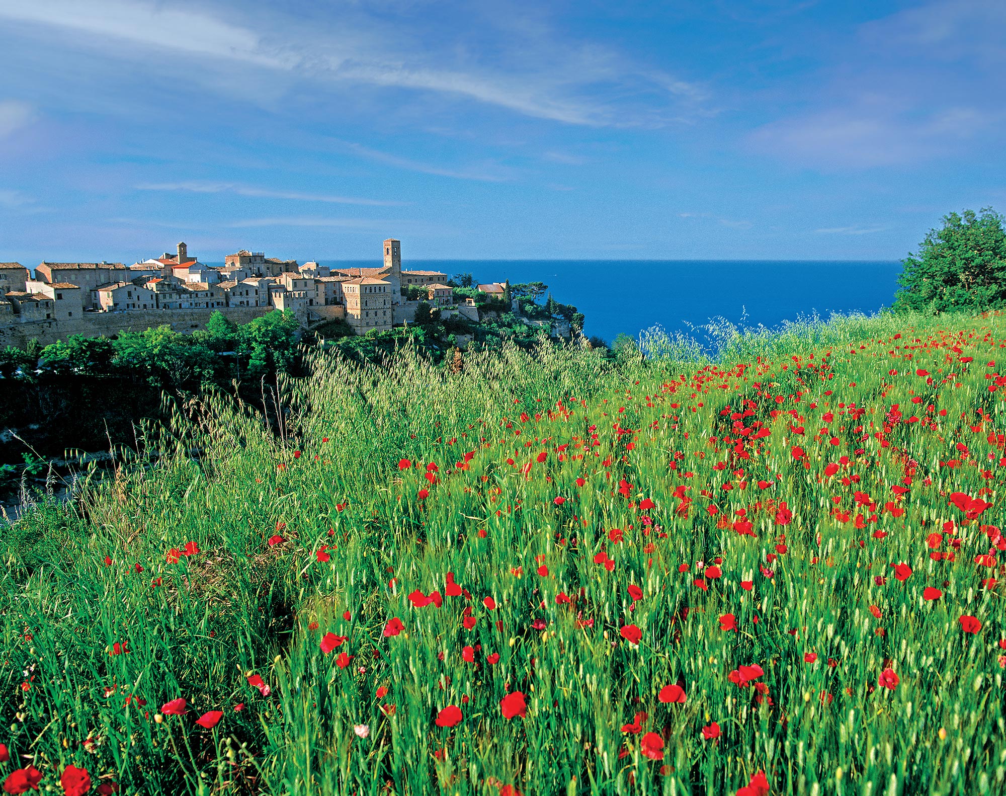 Torre di Palme - Veduta © Foto Sceverti - Comune di Torre di Palme